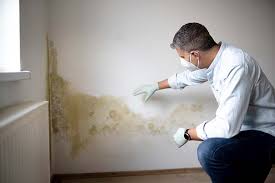 Mold Documentation for Insurance Claims